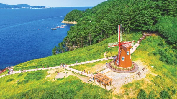 거제 둔덕 포도 한우 축제 기본정보&amp;#44; 거제도 섬여행