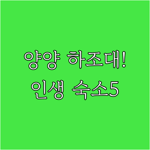 양양 하조대 근처 인기 숙소 5곳 위..
