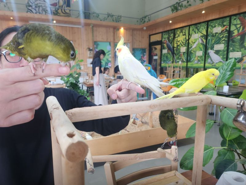 순창앵무새팜