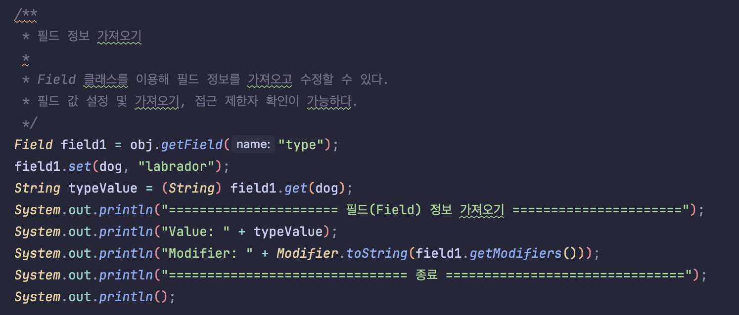 리플렉션으로 필드 정보 가져오기