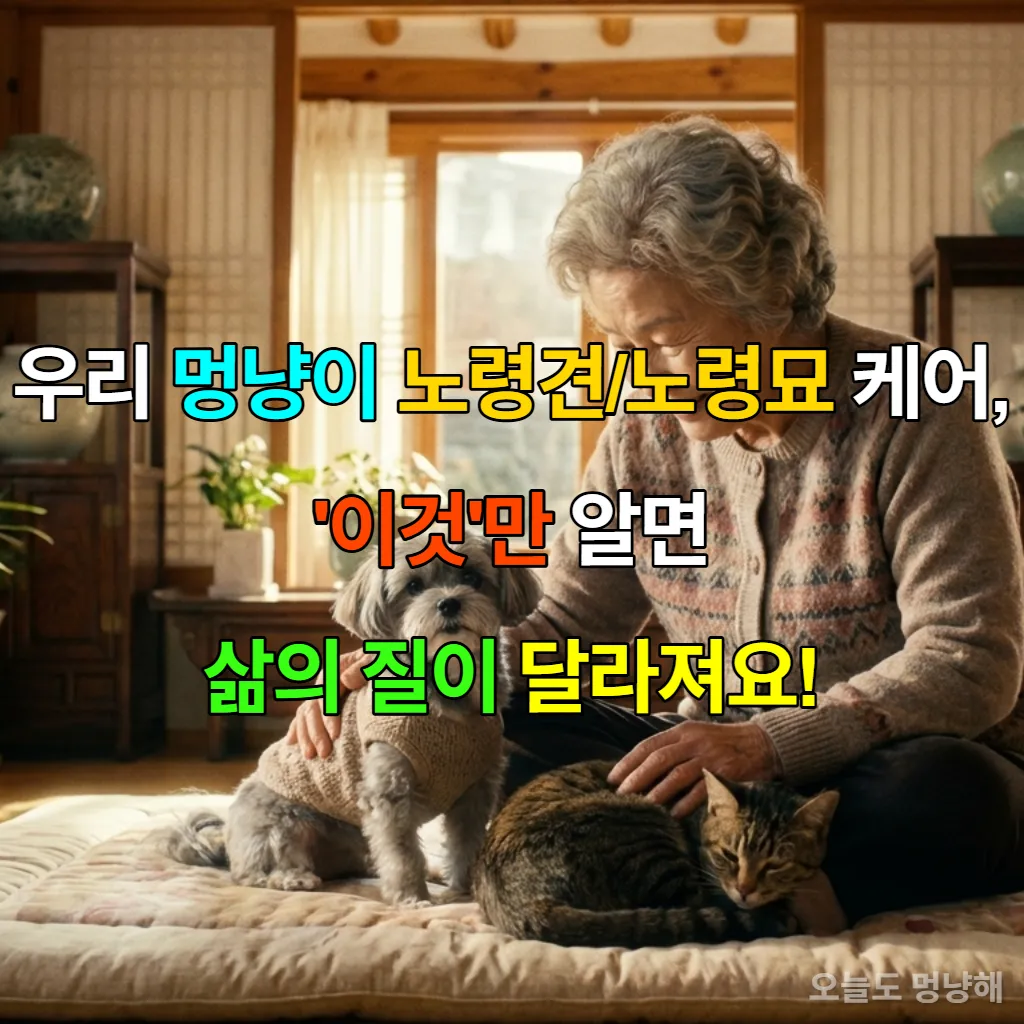 따뜻한 햇살이 드는 한국 가정에서 할머니가 노령견과 노령묘를 다정하게 쓰다듬고 있는 모습