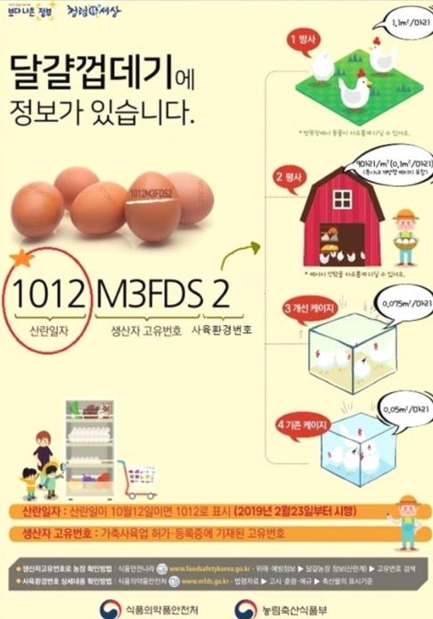 케이지 정보