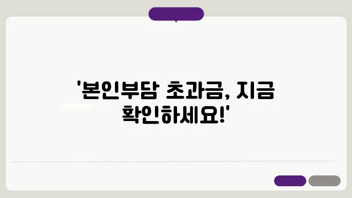 본인부담상한액 지급 시기 전망