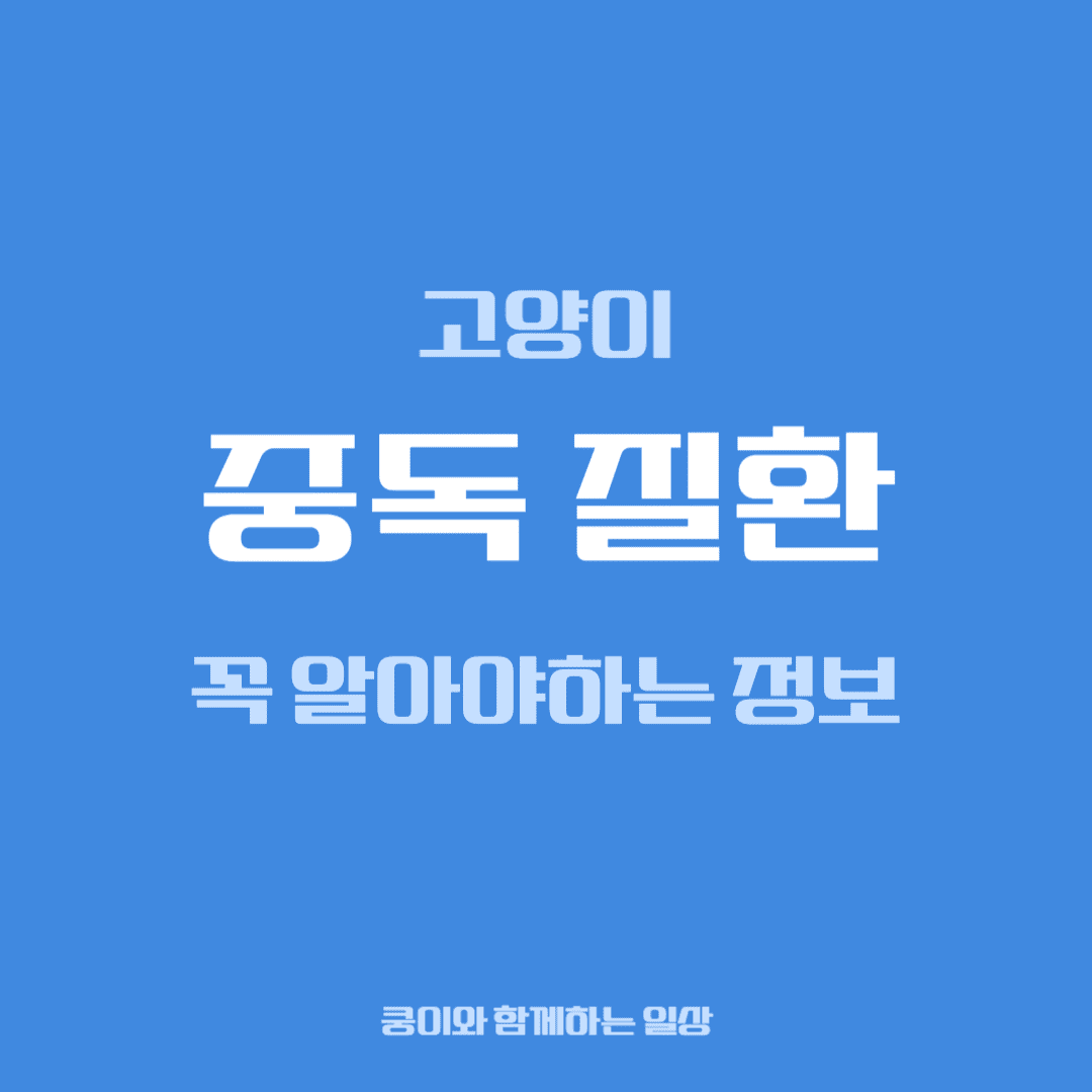 고양이 중독 질환, 집사가 꼭 알아야 할 정보