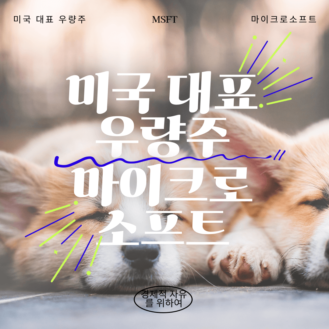 미국의 대표 우량주 : 마이크로소프트