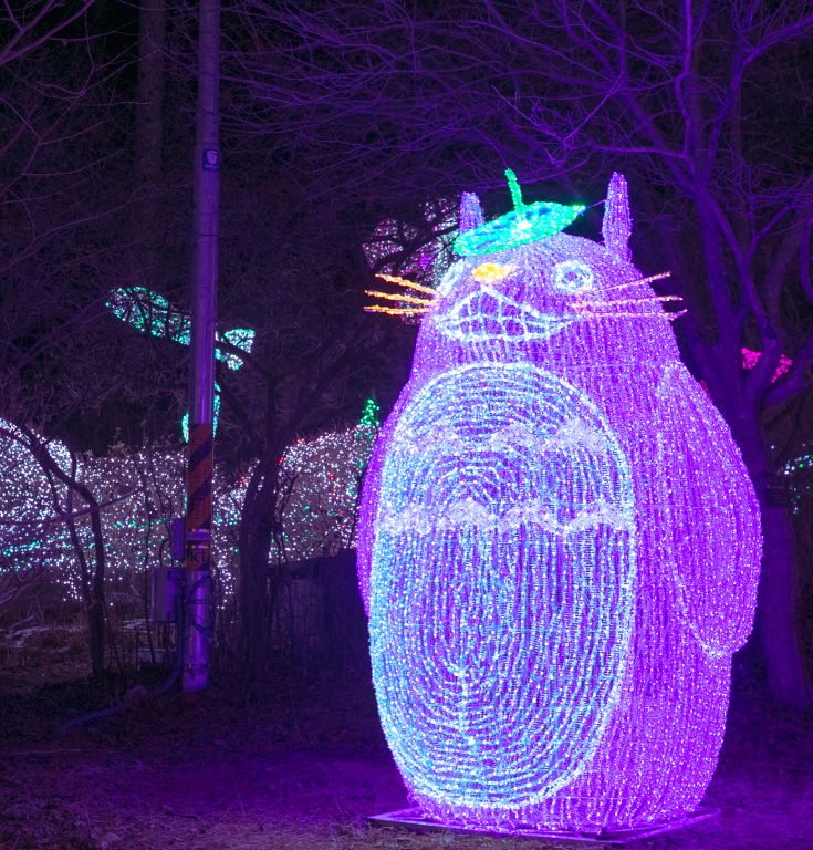 오색별빛정원전