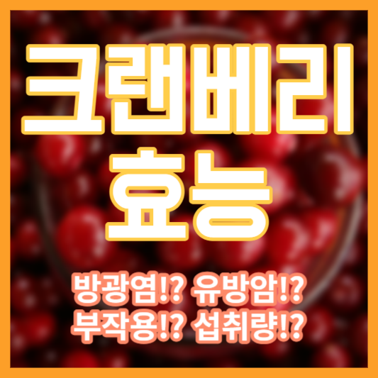 크랜베리 효능 - 방광염!? 유방암!? 섭취량!?