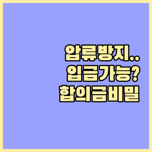 압류방지 계좌 입금 가능 항목 비교 ..