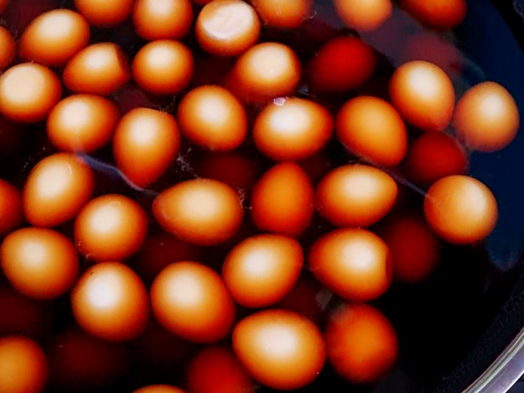 밥 상위의 작은 밥도둑 단짠 꽈리고추 메추리알장조림 만들기 (메추리알 삶는 방법)