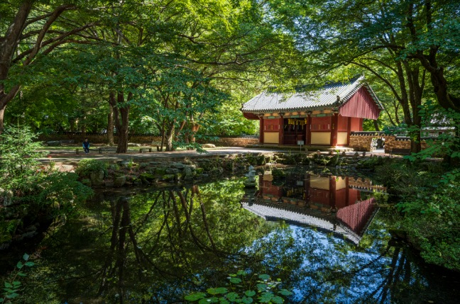 정읍 동네별 세부 분석 — 조용한 도시 속 서로 다른 생활 리듬