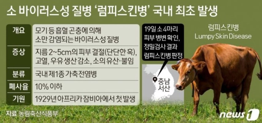 럼피스킨병 관련주