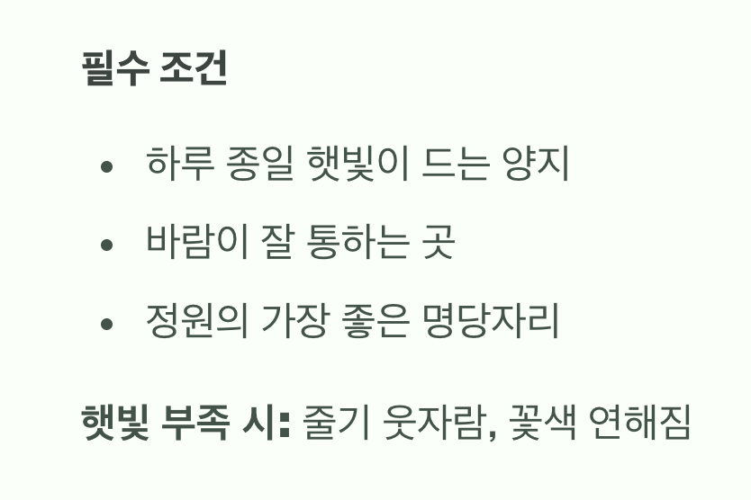 햇빛과 바람&amp;#44; 최고의 보약