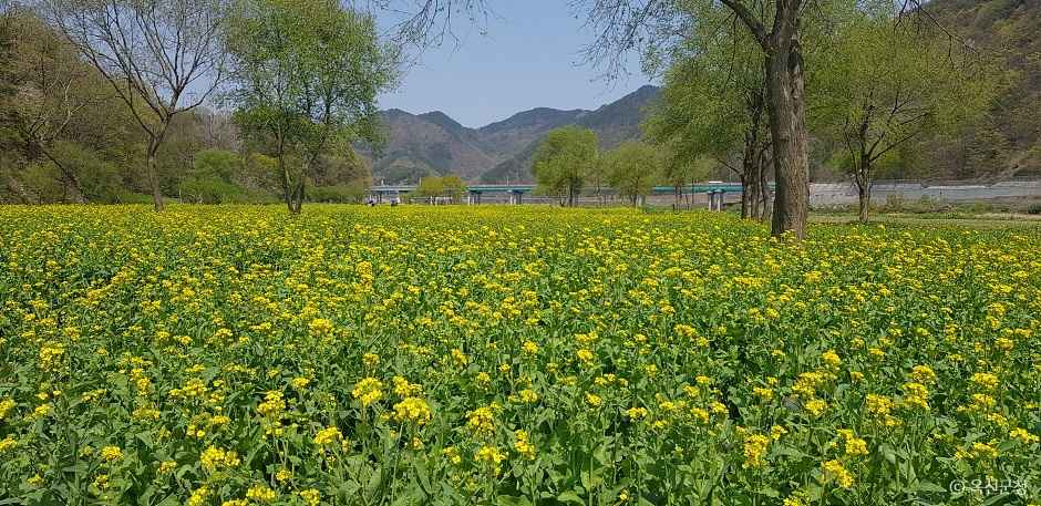 옥천금강수변 친수공원