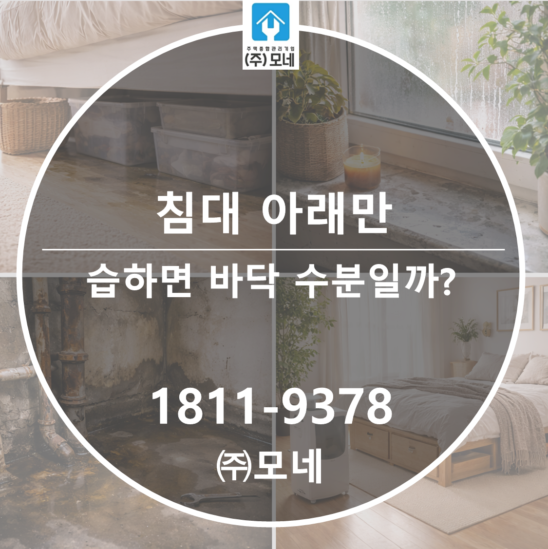 침대 아래만 습하면 바닥 수분일까? 2가지 확인 방법
