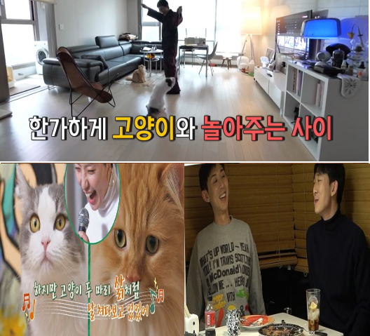 나 혼자 산다 코드 쿤스트