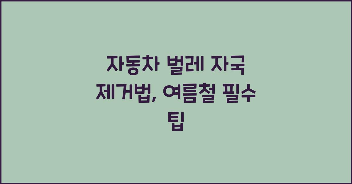 자동차 벌레 자국 제거법
