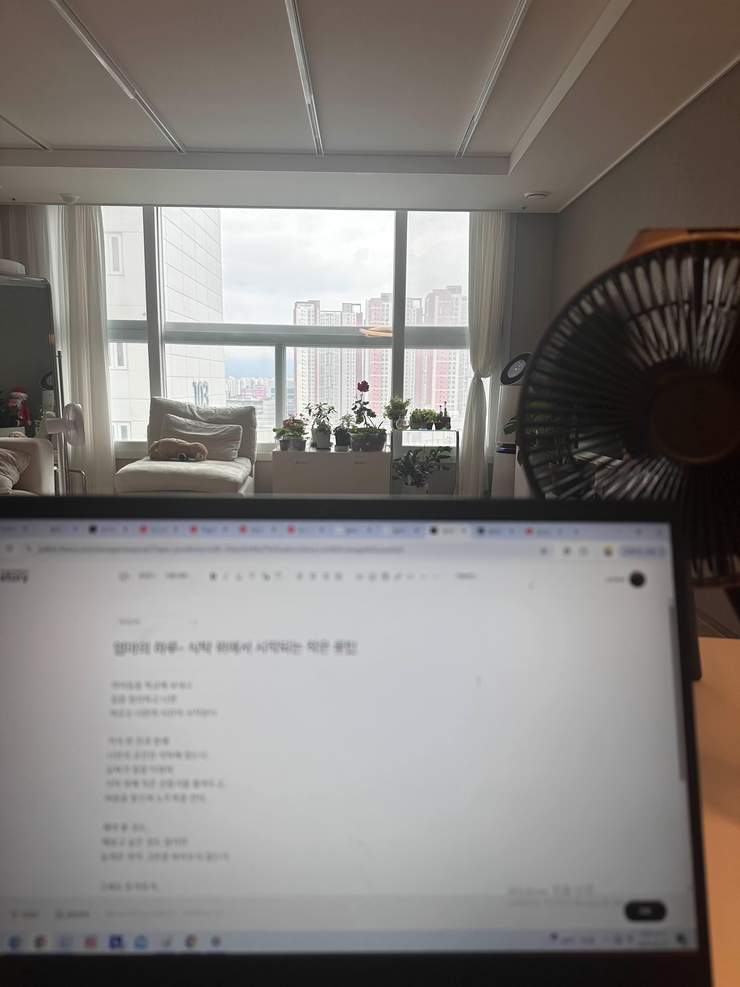 식탁 위에서 글을 쓰는 엄마의 루틴, 햇살 가득한 집에서 시작하는 하루의 기록