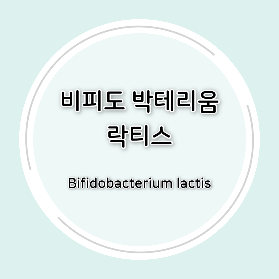 비피도박테리움 락티스(B. lactis) 효능 총정리