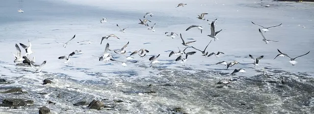 목포순천 사이 운행 열차 개통 시간표 요금 및 영암역 해남역 강진역 장흥역 신보성역 위치 환승 팁_5