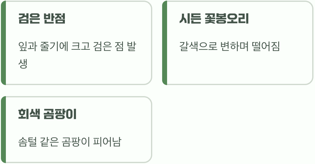 검은 반점과 시든 꽃봉오리&amp;#44; 잿빛곰팡이병의 경고