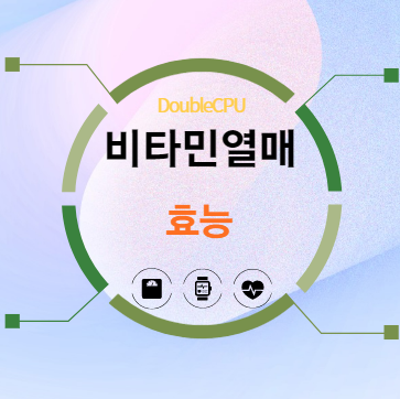 비타민열매 효능 탐구