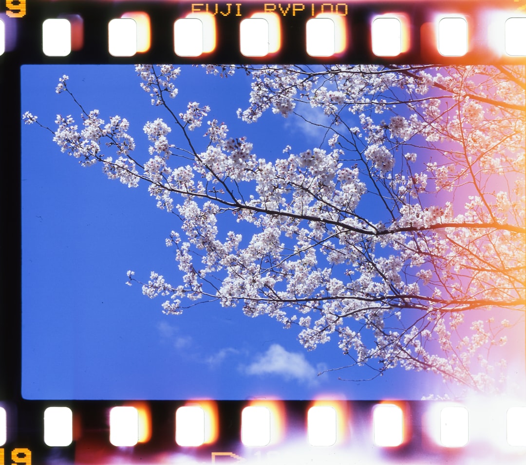 Film