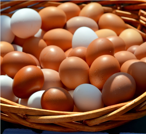 수학능력시험 아침 식단과 도시락 메뉴