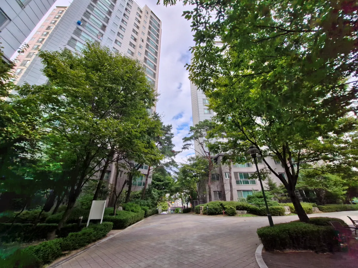 아파트-단지-사이로-나무와-길이-있다