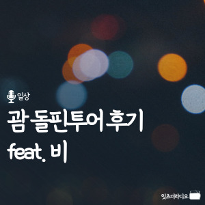 괌 돌핀투어 후기 feat 비