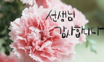 스승의날-감사문구-센스있는문구