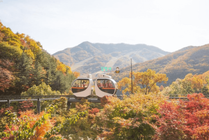 경기도 단풍명소