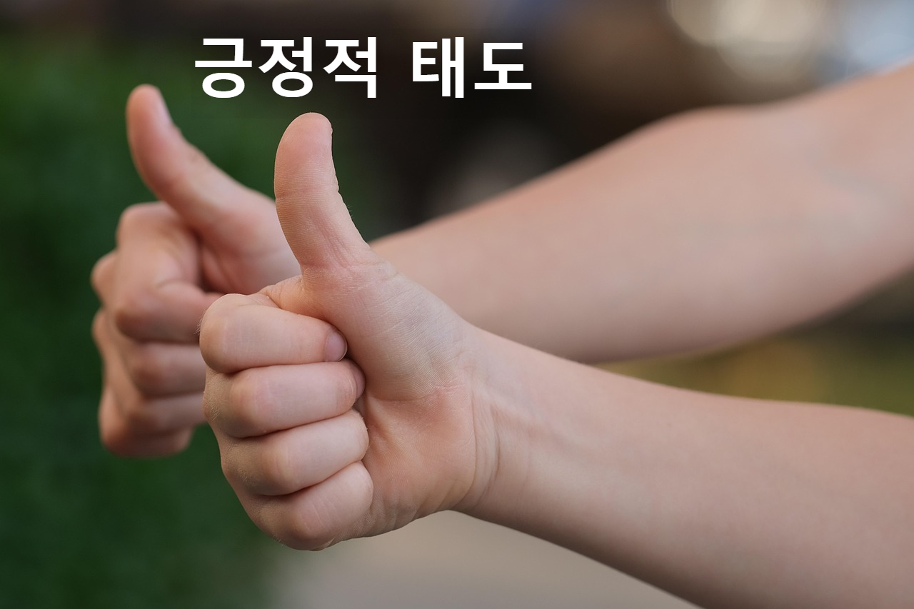 긍정적 태도