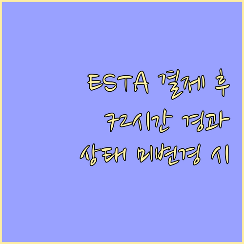 ESTA 결제 후 72시간! 상태 미..