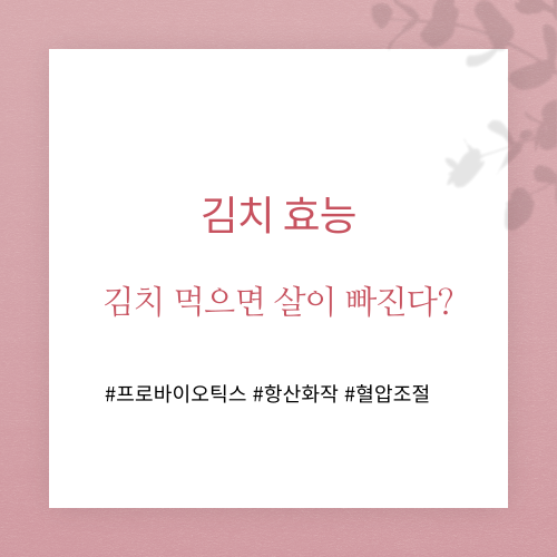 김치 효능