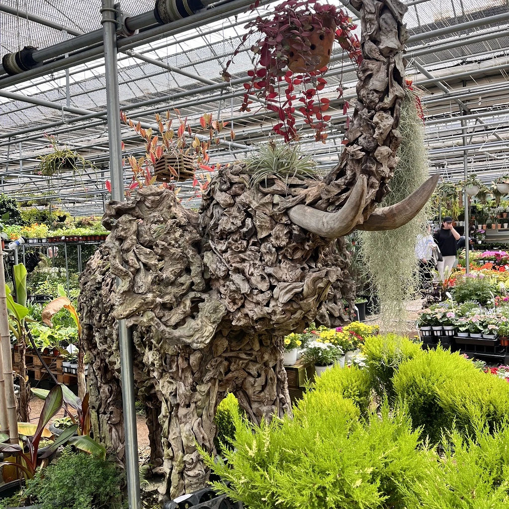 조인폴리아-코끼리