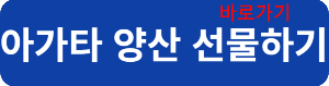 아가타 양산