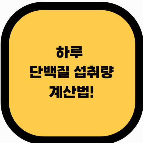 하루 단백질 섭취량 계산법 &amp; 단백질 많은 음식 추천
