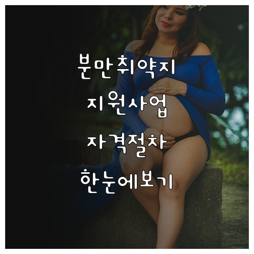 2025년 분만취약지 지원 사업 한눈..