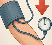 저혈압에 좋은 음식