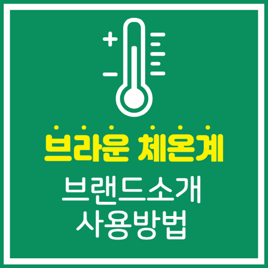 브라운 체온계
