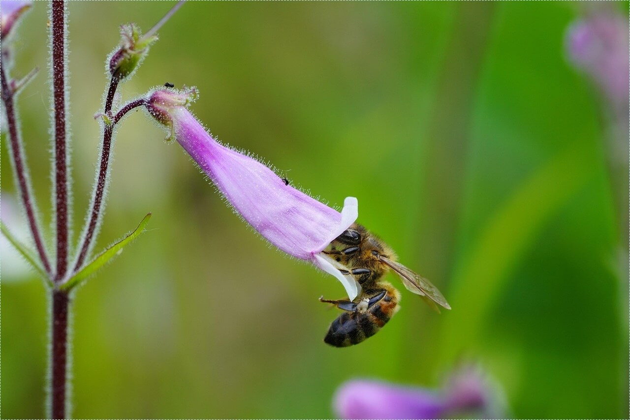 우리은행 정기예금 금리