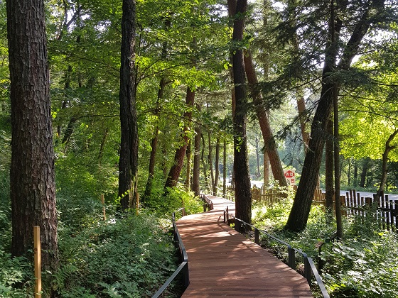 광릉숲길 주요 코스