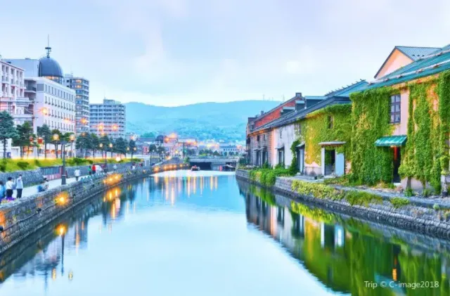 북해도 후라노 라벤더 축제 시즌 개화 시기 이벤트 일정 대표 명소 여행 완벽 가이드_3