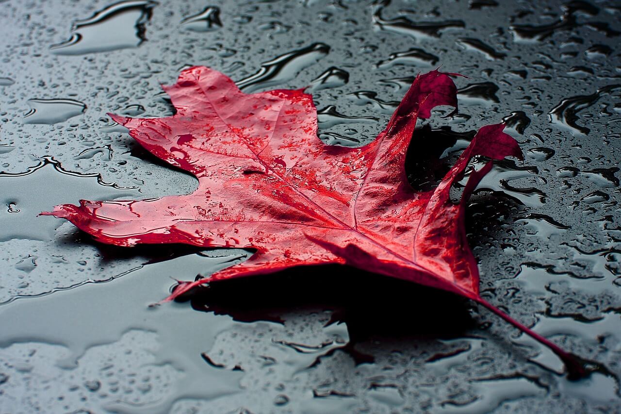 글로벌 기준금리 동조화 속 양극화