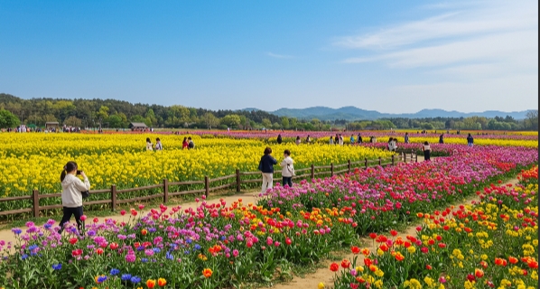 고석정꽃이미지.사진