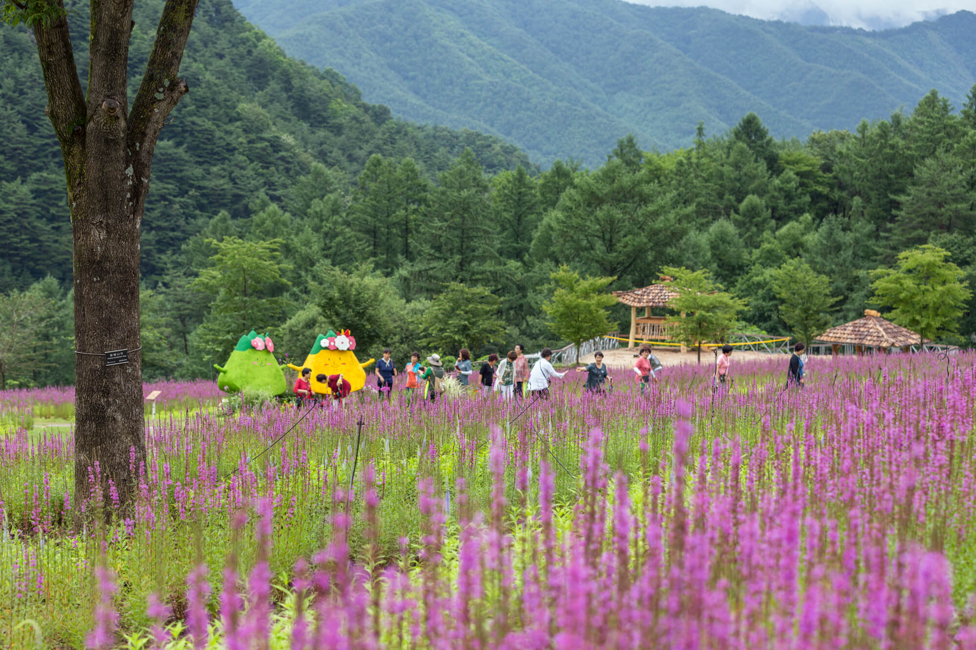 백두대간 수목원 