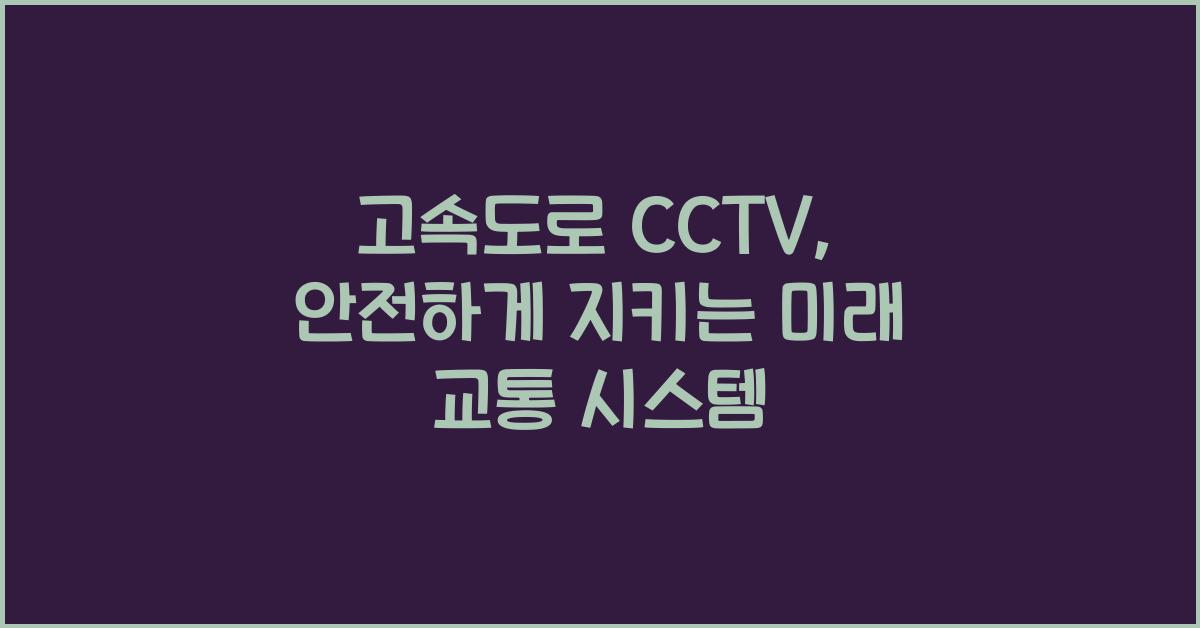 고속도로 cctv