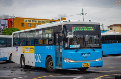 제주 202번 버스