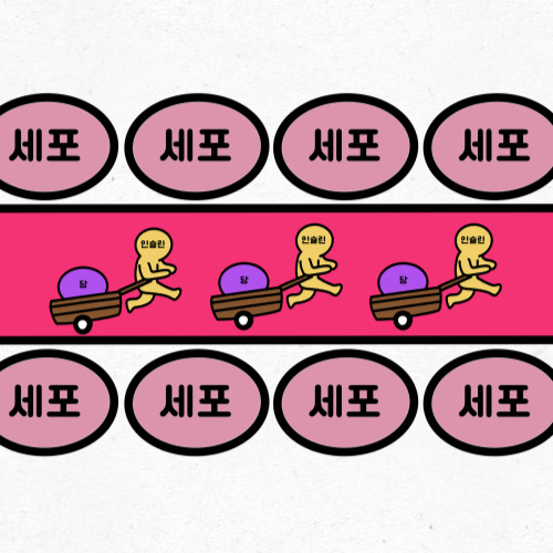 혈당스파이크 예방을 위한 생활 습관 팁