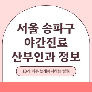 서울 송파구 야간진료 산부인과 병원 (18시 이후 늦게까지하는 병원)